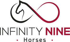 Infinity Nine Horses